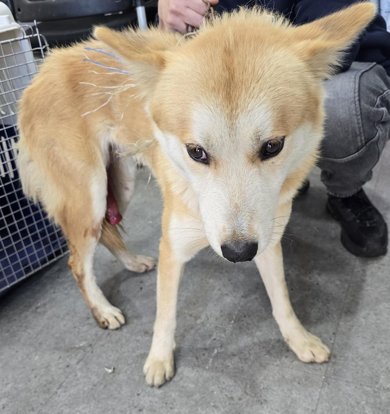 베스트동물병원_428357202401391